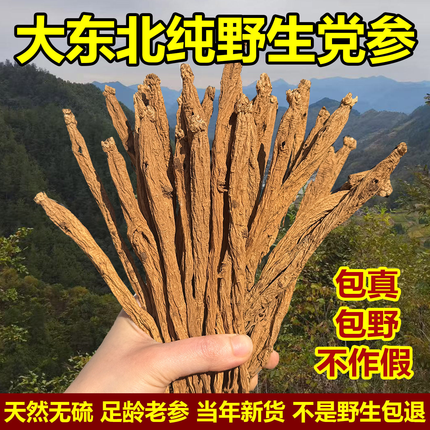 东北正宗野生党参整根党参中药材干货新货无硫长白山党参条煲汤