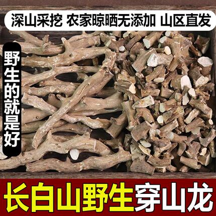 穿山龙野生中药材特级长白山新货无根煮水穿地龙切段地龙骨中药材