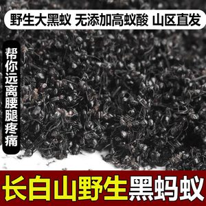 长白山野生黑蚂蚁泡酒中药材500g