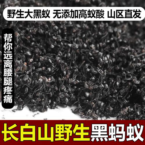 长白山野生黑蚂蚁泡酒中药材250g