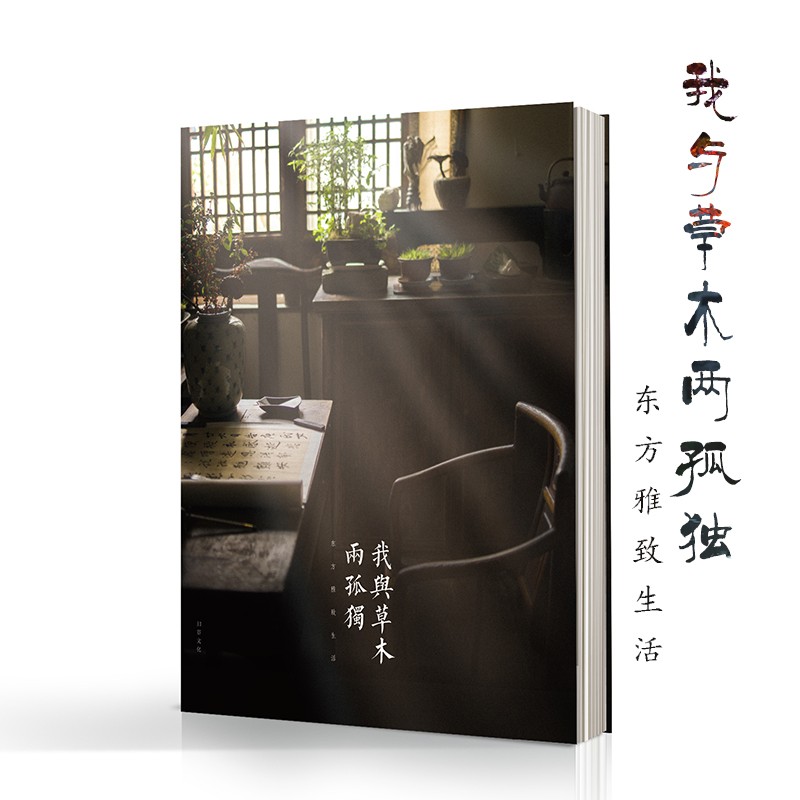 茶室雅居花艺书房摆设文艺古典花卉摄影古朴意境插花风景唯美上海归谷