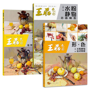 王磊色彩 水粉静物范画精选 绘型绘色临照片学色彩 形 色水粉静物应试教程 高考色彩系统教学