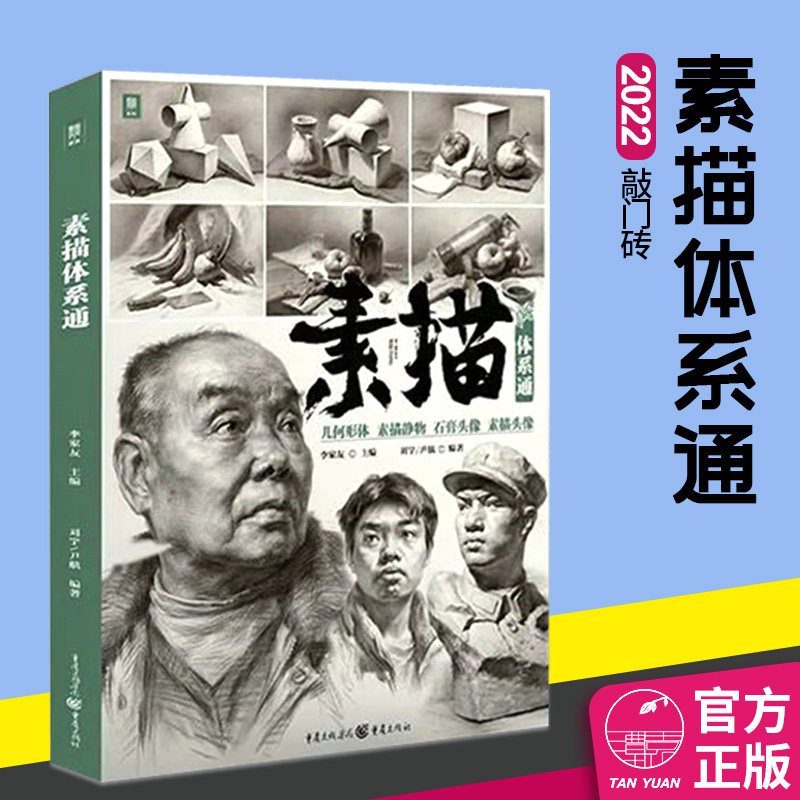 素描头像画法步骤一本通教材美术初学提高绘画技法照片写生临摹美术