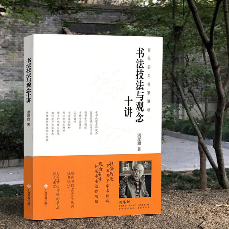 书法技法与观念十讲 当代实力书家讲坛 书法发展脉络技法核心 洪厚甜书法理论毛笔字简史 历代书家书风简介名帖赏析书法理论书籍