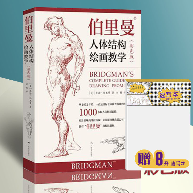 2019新伯里曼人体结构绘画教学彩色版 原图画稿版 人体结构造型手绘技法艺用人体构解剖人物模型素描速写临摹动漫美术结构教程书