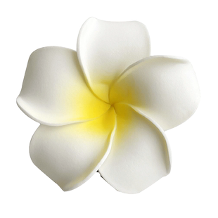 鸡蛋花发夹边夹侧边高级感女2025新款海边发饰花头饰大号花朵夹子