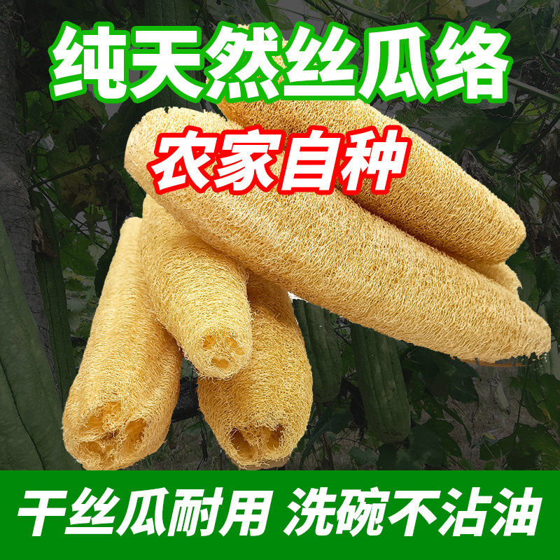 丝瓜络洗碗神器天然丝瓜瓤洗碗布抹布不沾油厨房洗碗刷百洁布锅刷