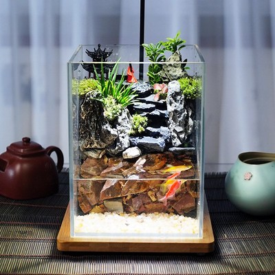 桌面养鱼小d生态鱼缸苔藓微景观生态缸森林全套雨林造景植物玻璃