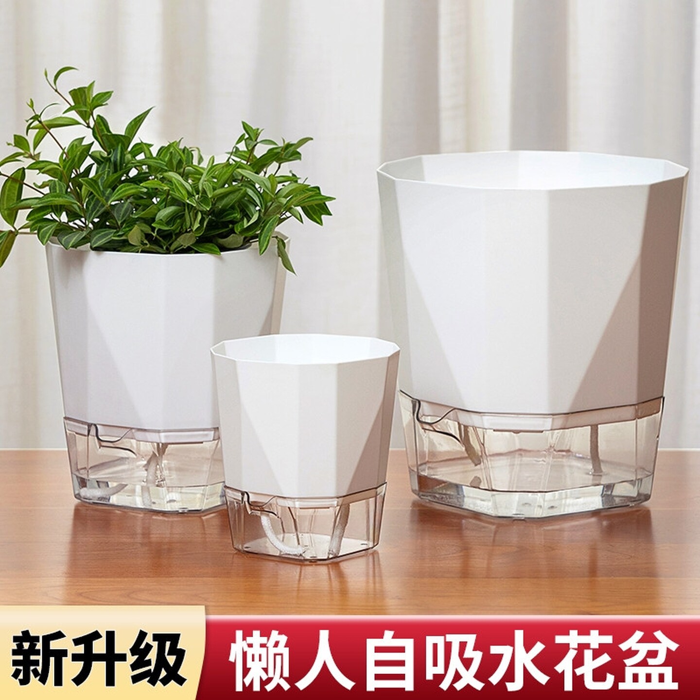 懒人自动吸水花盆清仓塑料树脂仿陶瓷绿萝箩多肉室内水培花盆蓄水
