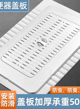 卫生间蹲便器盖板厕所蹲坑挡板洗澡防滑老式便池防头发防臭堵臭器