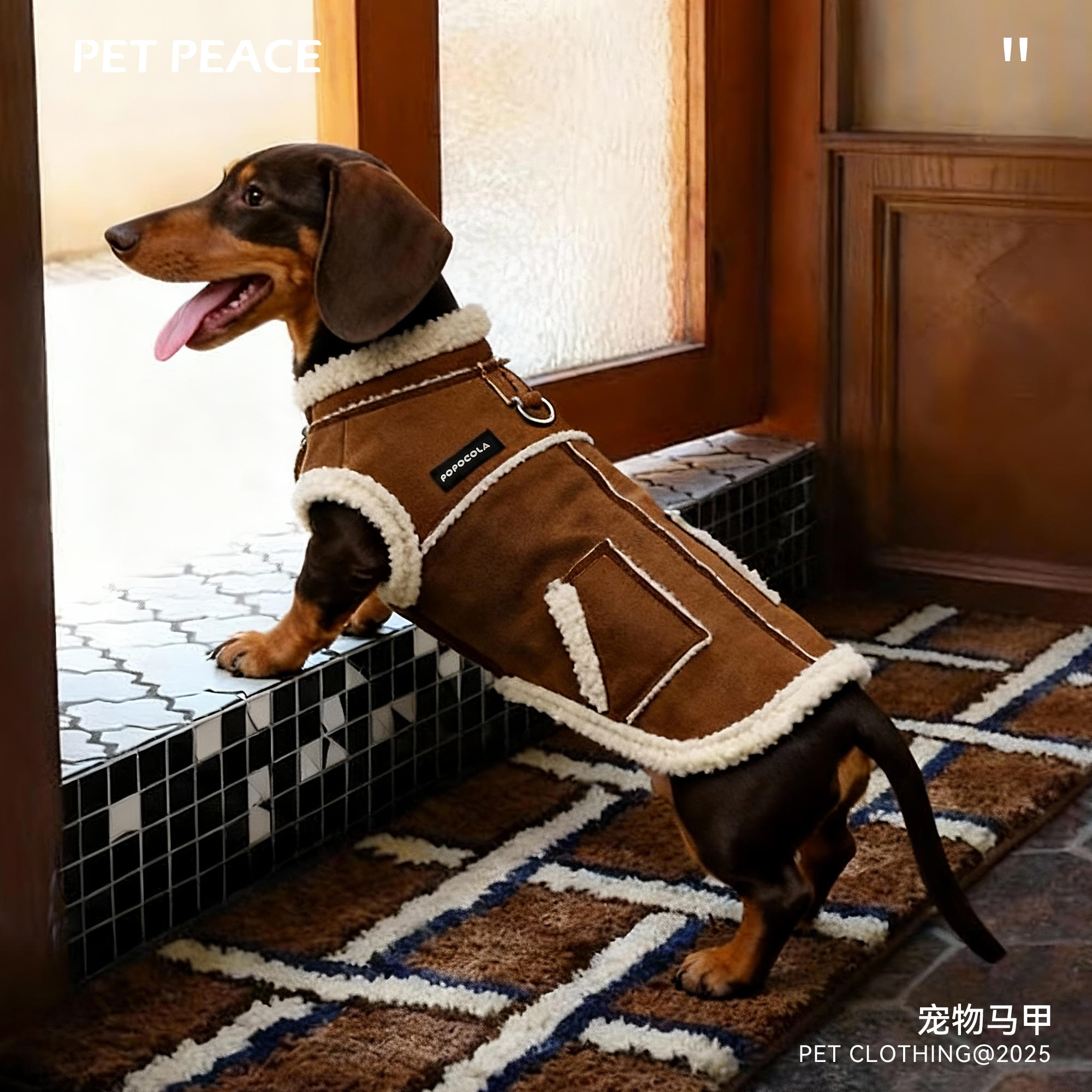 Petpeace小狗狗衣服秋冬季小型腊肠犬泰迪雪纳瑞冬装宠物棉服马甲