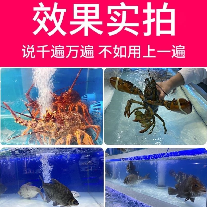 商用三层超市酒店饭店鱼池海鲜池水产海鲜缸贝壳池移动海鲜鱼缸