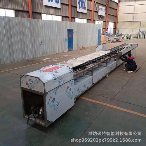 牛油果水果重量分选机 火龙w果选果设备 分拣机高精度,价格低