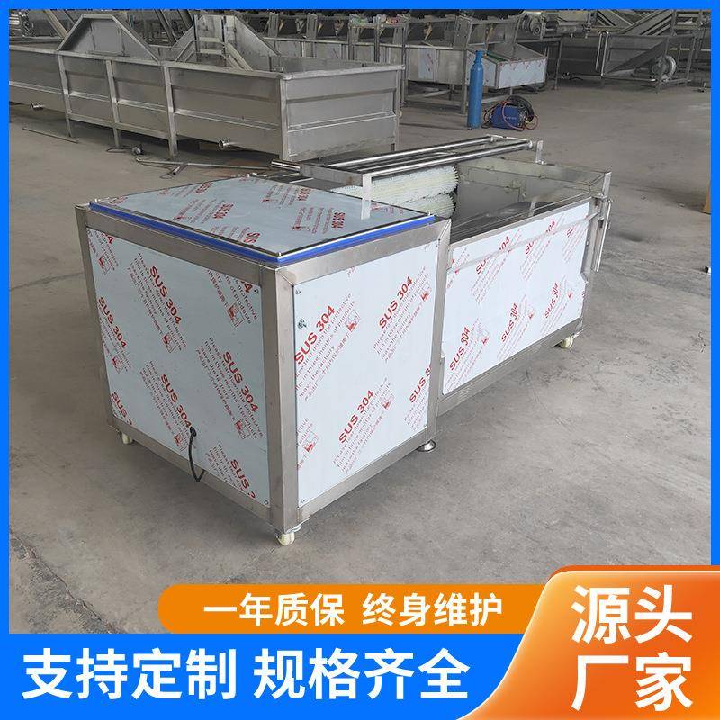 800型全自动毛辊去皮清洗机 荸荠花生药材去泥沙毛刷清洗设备