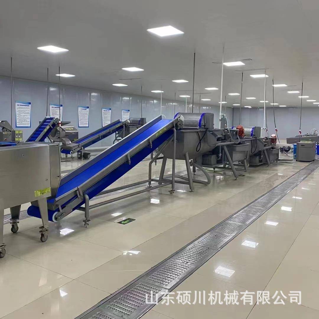 速冻蔬菜臭氧杀菌清洗机中房净菜清洗生产线半成品菜加工设备