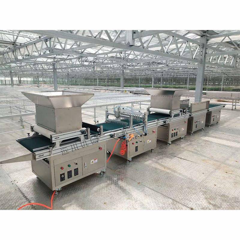 全自动穴盘播种机 辣椒西红柿种子播种机 自动化播种覆土一体机