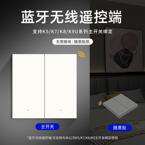 iWN无线遥控端可组合双控/多控