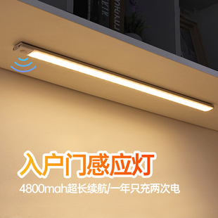 入户门感应灯鞋柜进门自动人来即亮超薄充电款超长续航免接线灯条