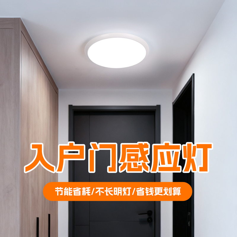 【爆款】入户门感应灯