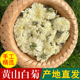 2025黄山白菊花茶白贡菊泡茶特花级白菊花胎菊花草茶散装