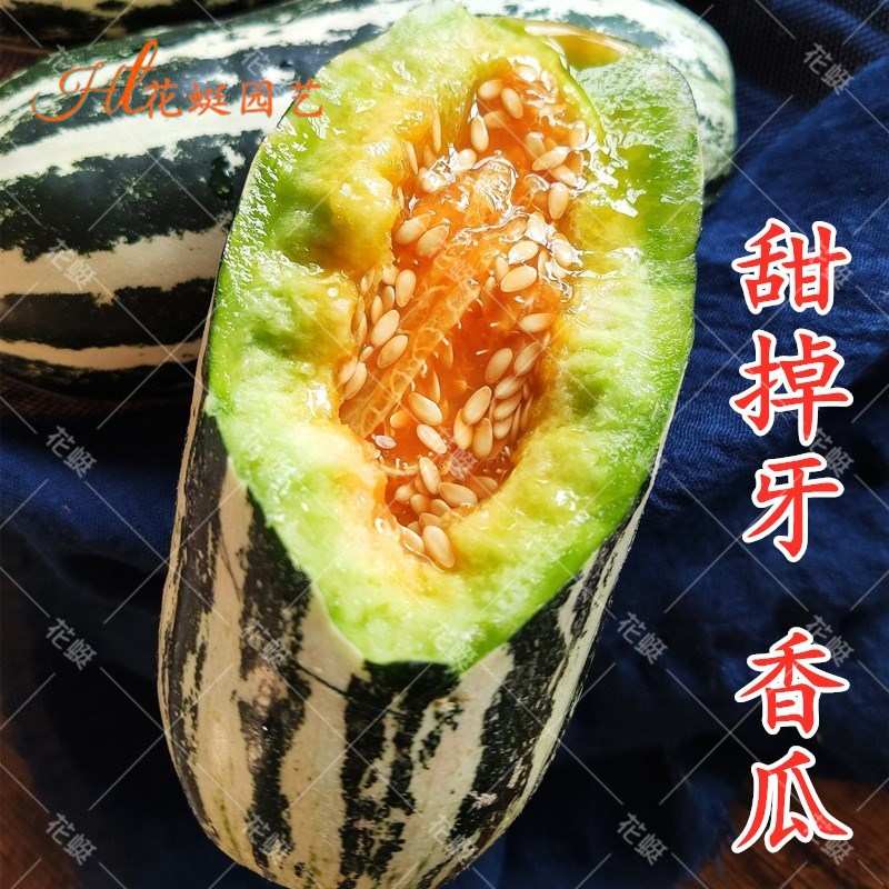 甜掉牙特大甜瓜香瓜种子种籽孑黑面瓜黄羊角酥蜜牛角蜜瓜大全