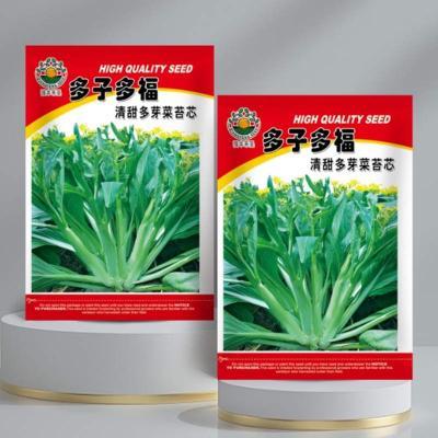 菜福多子多心种子四季播鲜香甜连州菜心清甜多芽菜苔种籽蔬菜种孑