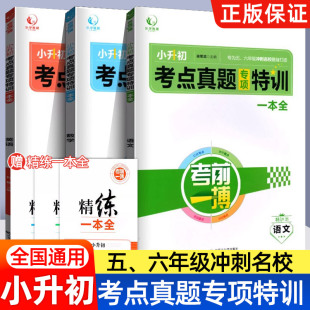 小升初考点真题专项特训一本全语文数学英语小升初知识归类总复习精讲加精炼下学期末冲刺名校模拟考试测试专项考前一搏