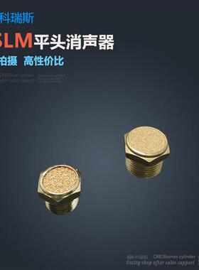 电磁阀平头消声器 BSLM-01 BSLM-02 BSLM-03 BLSM-04 BSM-06 分