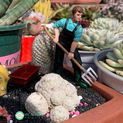 迷你仿真小人偶摆件农夫农场主玩偶摆件多肉植物造景摆件