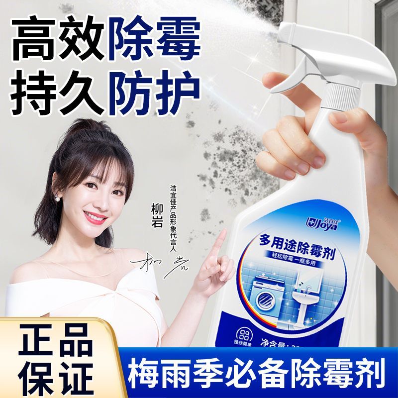 洁宜佳强力多用途除霉剂
