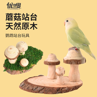 优嗖鹦鹉玩具天然健康鸟笼造景蘑菇站台天然风格 啃咬小宠仓鼠造景