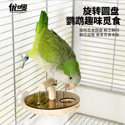 优嗖鹦鹉圆盘觅食益智转转乐啃咬玩具解闷玄凤虎皮牡丹鸟笼配件