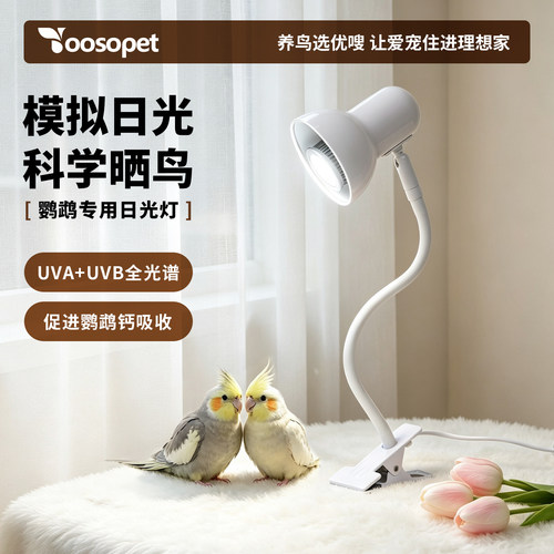 优嗖鹦鹉日光灯补钙杀菌