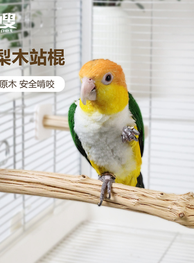 优嗖鹦鹉野梨木实木磨嘴鸟笼站杆站棍自然树枝玄凤牡丹虎皮站杆