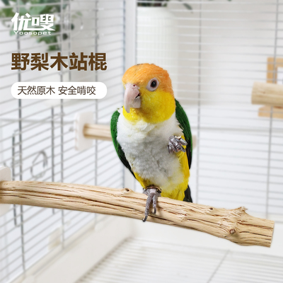 优嗖鹦鹉野梨木实木磨嘴鸟笼站杆站棍自然树枝玄凤牡丹虎皮站杆