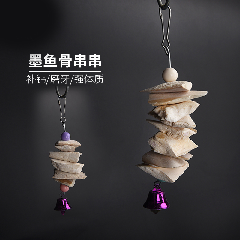 鹦鹉啃咬墨鱼骨优嗖天然健康
