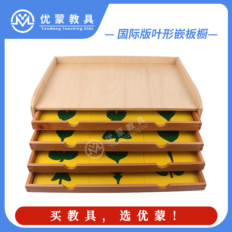 蒙台梭利国际版幼儿园蒙氏科学文化教具叶形嵌板橱子配对三段卡片