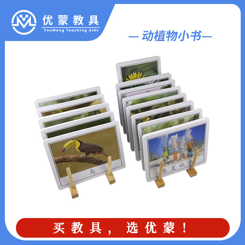 蒙台梭利自然科学教具动物植物