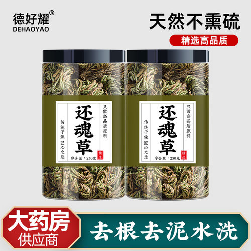 卷柏九死还魂草500g不死草还阳草