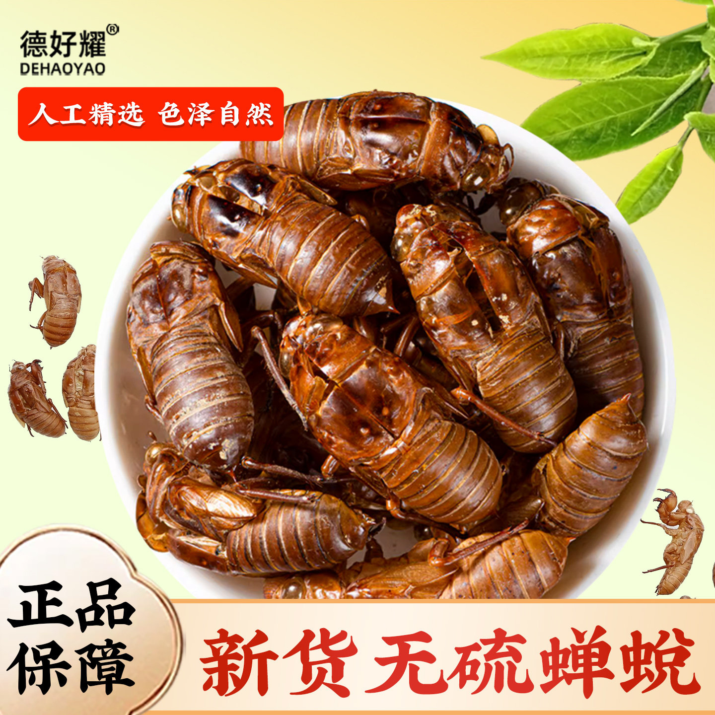 蝉蜕中药材正品野生新货爬了猴