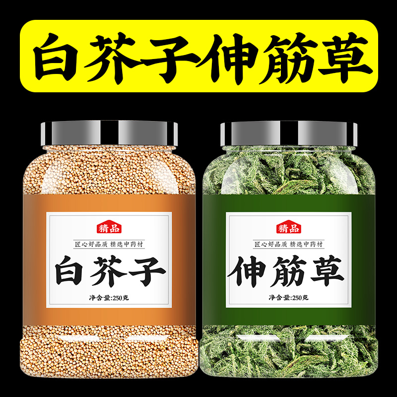 小伸筋草白芥子中药材正品组合