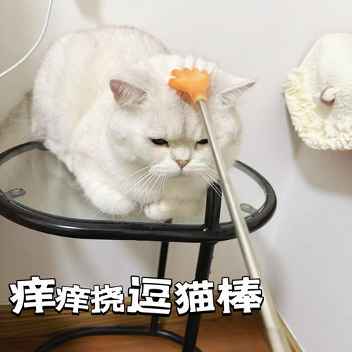 网红猫咪玩具长杆可伸缩挠痒逗猫棒消耗体力安抚按摩解闷猫咪用品