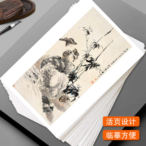中国画临摹卡名家合集花鸟篇水墨画大师级教学全套48幅