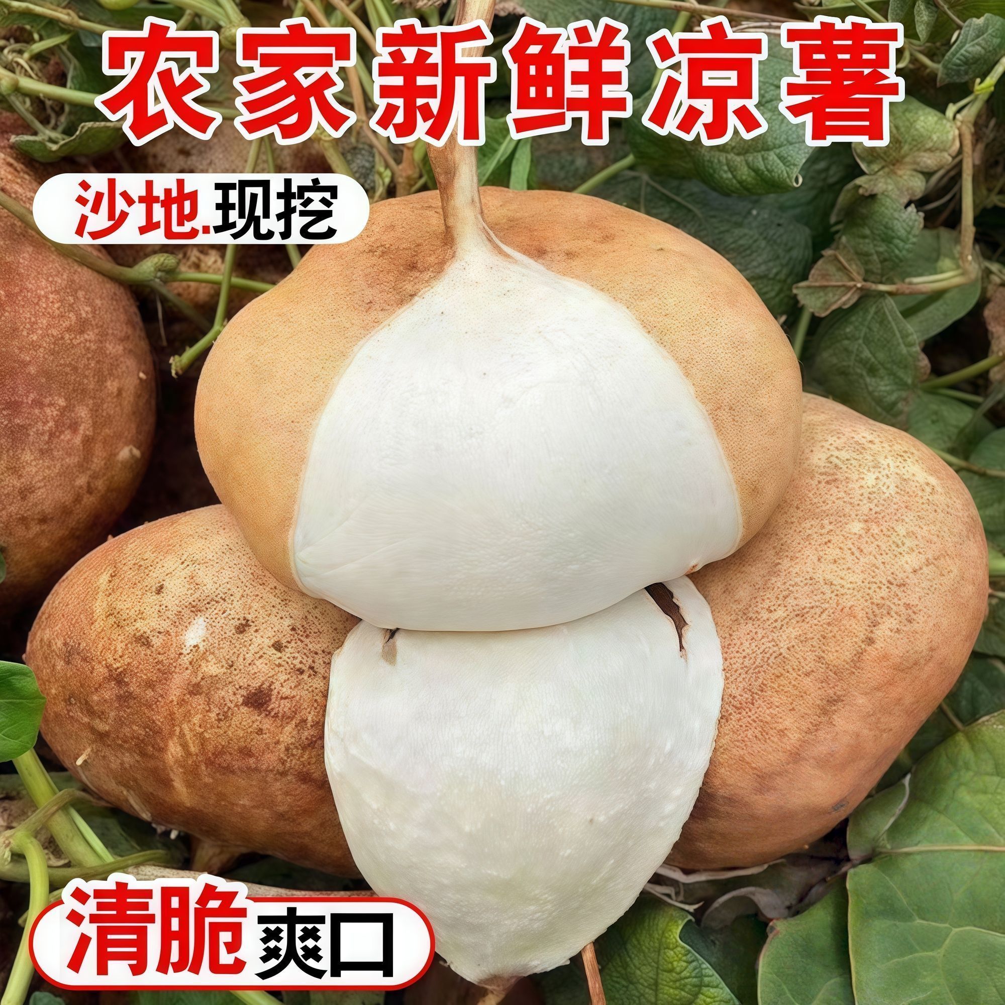 贵州新鲜凉薯地瓜现挖农家白地瓜脆甜多汁沙葛地萝卜应季水果土瓜