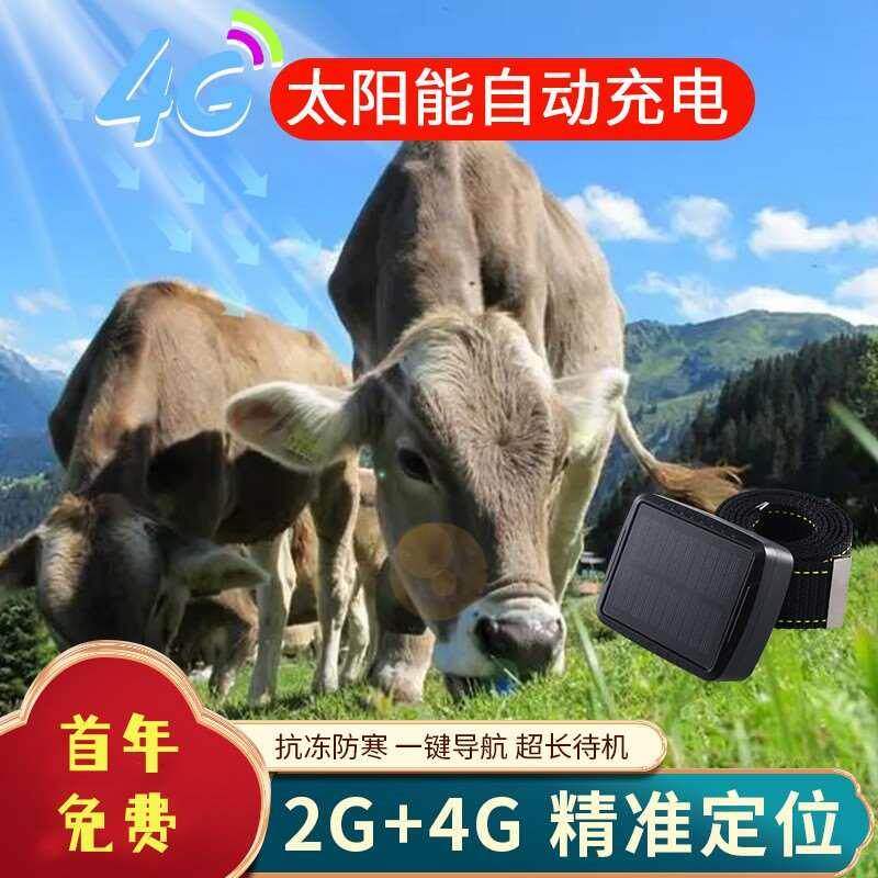 防丢防盗牛羊定卫器迷你宠物动物定位神器追踪器跟踪器实时项圈统