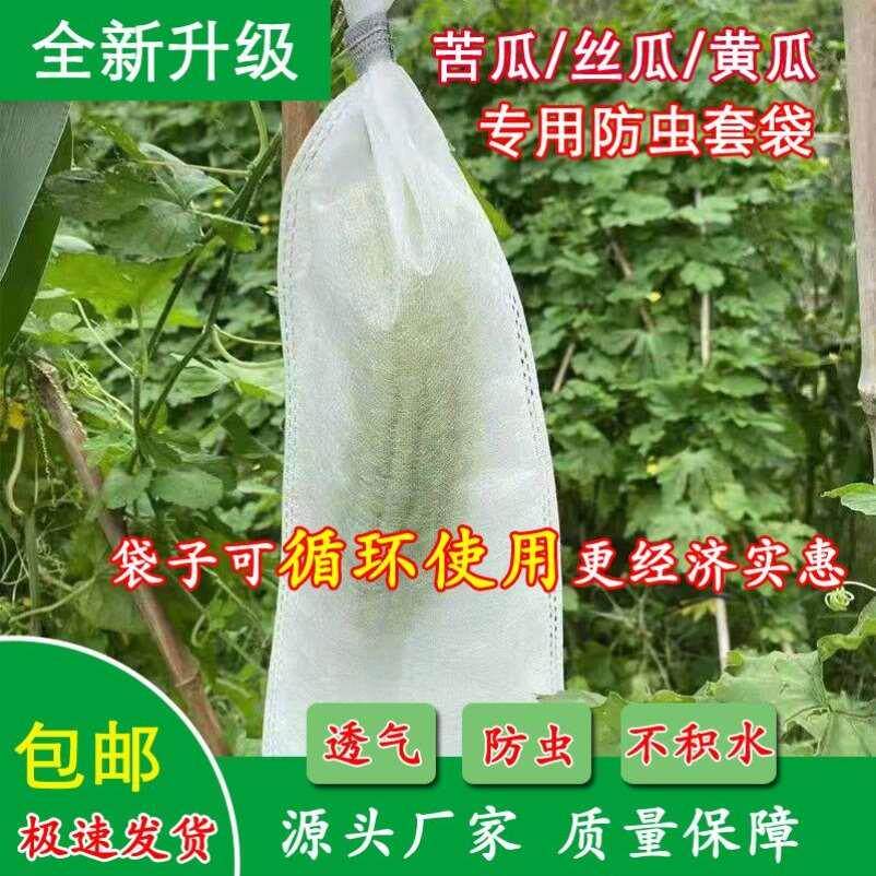 青瓜袋加密纱网袋黄瓜防虫套袋苦瓜丝瓜黄瓜果防鸟器罩透气束口袋