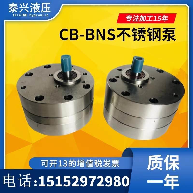 CB-BNS16/BNS20/BNS25/BNS32不锈钢齿轮泵电机组装置食品化工泵JZ