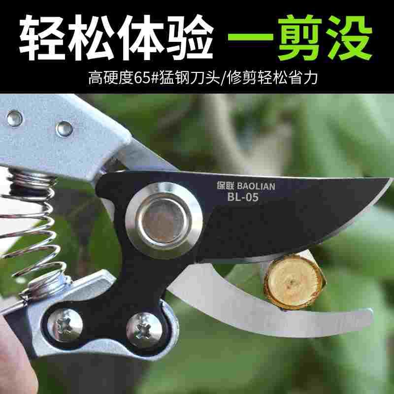 园艺剪修枝剪枝剪花剪果树剪刀园林剪树枝修花粗枝剪花艺剪子家用