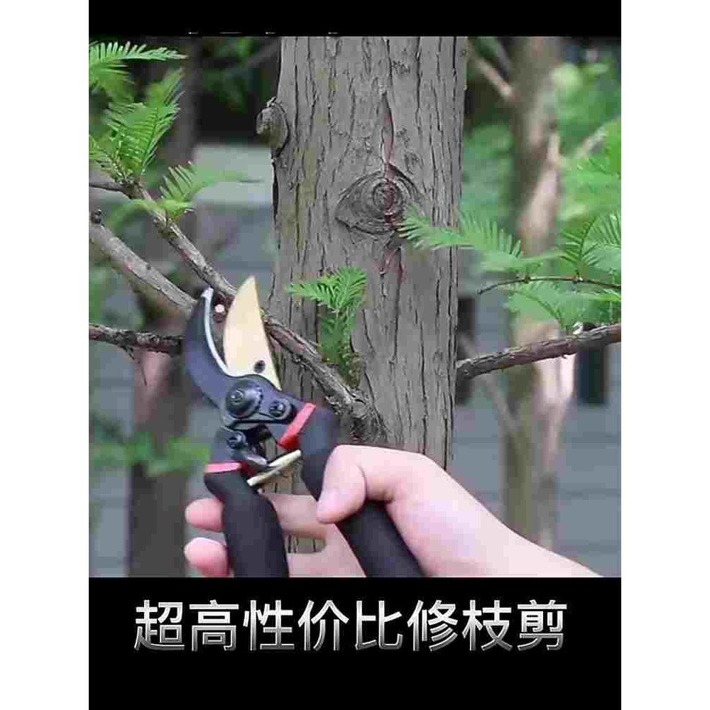 德国剪树枝专用双开口剪刀艺园修枝剪果树修花奔家用园林省力剪子