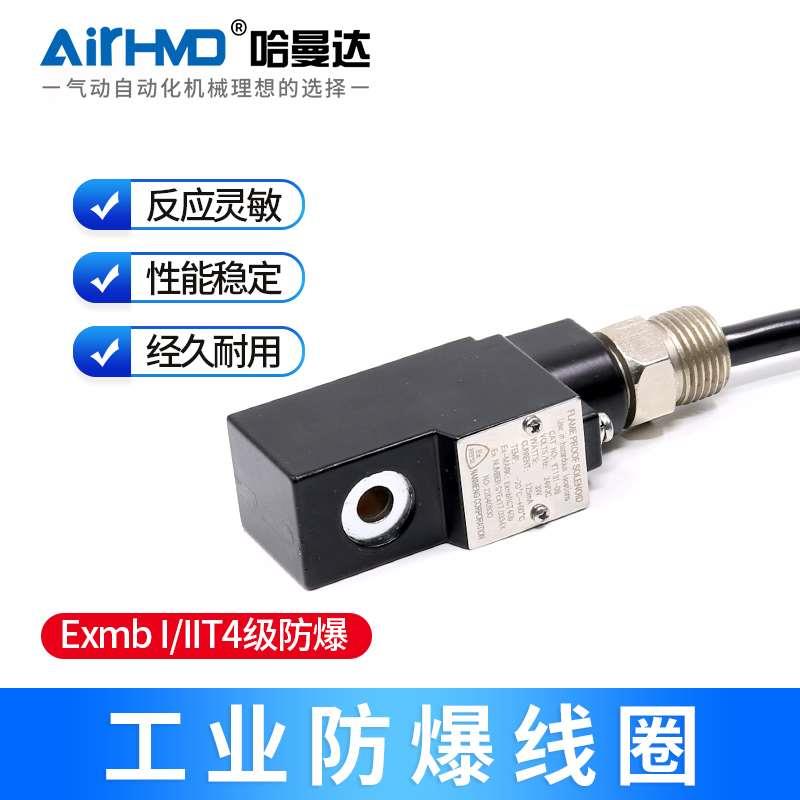 YT131-09系列防爆线圈4V210 410 4M310-08DC24VAC220V电磁阀9mm孔